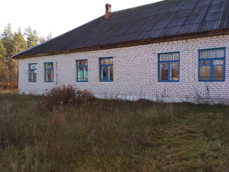 Здание школы, д.Дретунь  ЕГРНИ 250 С - 41075
